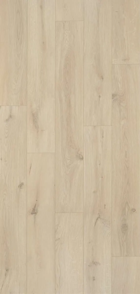 BerryAlloc Ocean 8 V4 laminatgulv 8 MM Gyant Sand Natural