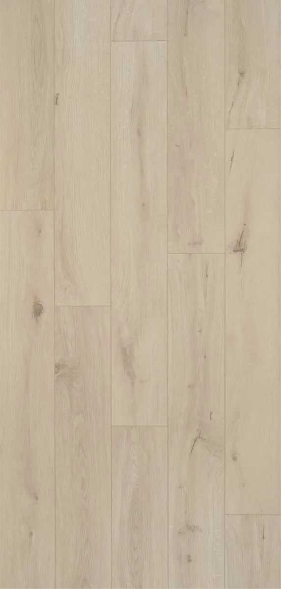 BerryAlloc Ocean 8 V4 laminatgulv 8 MM Gyant Light Sand